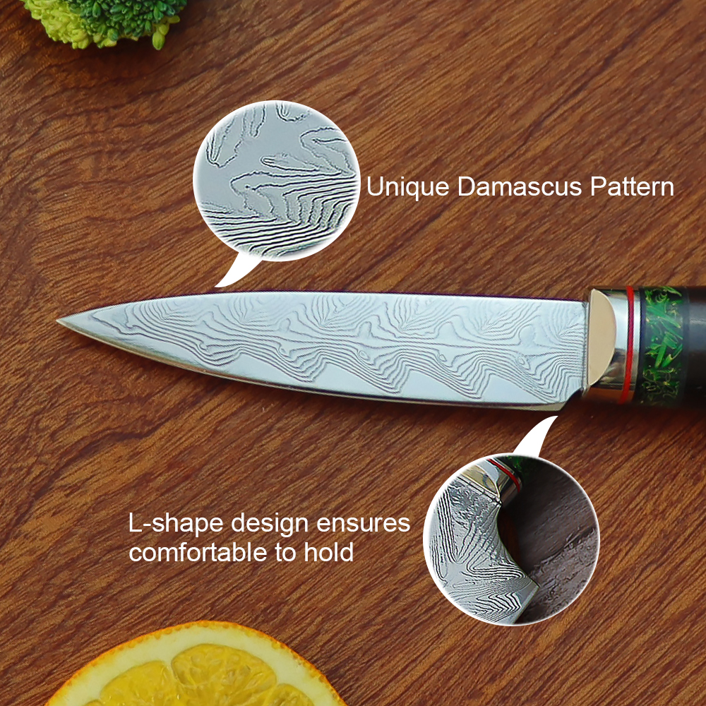 Damascus Paring Knife 3.5 inch-FYW Series – yarenh flagship store