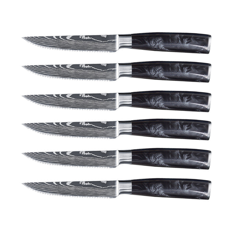 Eric Raffy Set of 6 Black Acrylic Handle Steak Knives - Forge de