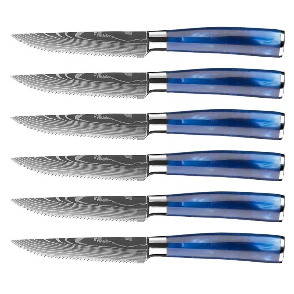 https://img-va.myshopline.com/image/store/2000714577/1648111340947/Steak-Knife-Set-Blue-Resin-Handle-(2).jpeg?w=1000&h=1000