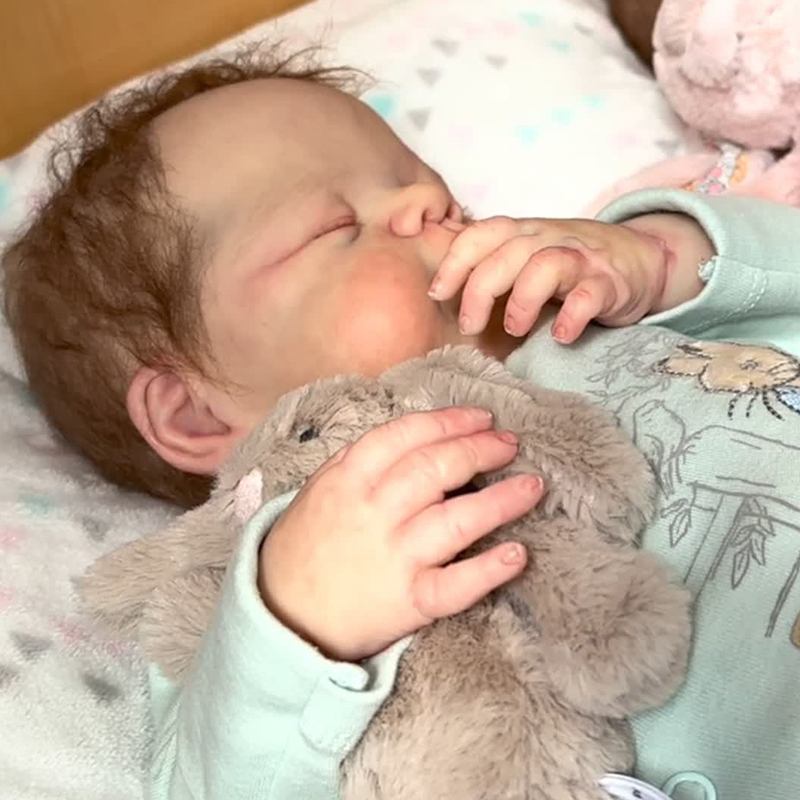 17'' Barney Realistic Cute Reborn Baby Dolls