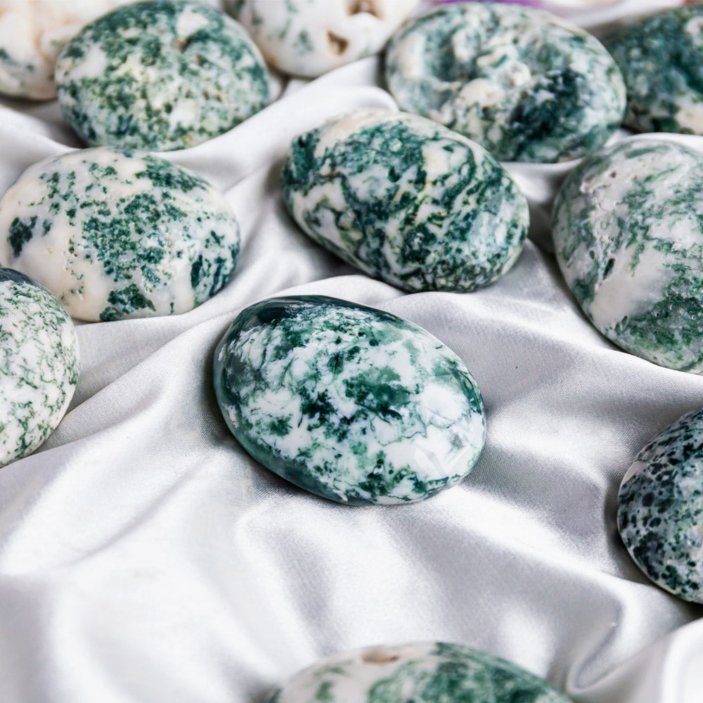 Tree Agate Tumbled Stone