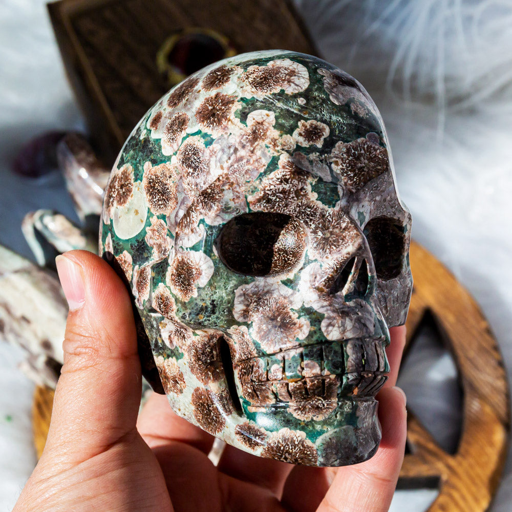1kg Russia Flower Agate Skull
