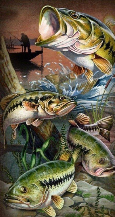 Luxury AB Velvet Diamond Painting Kit -  Sea bass