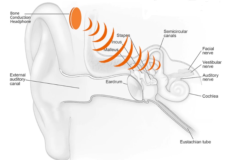 How do bone conduction headphones works