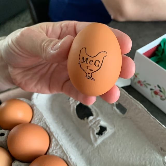 Custom Egg Stamp Farm Egg Label with 29 Designs
