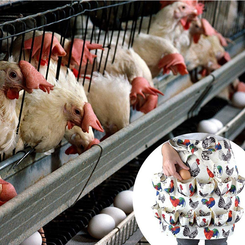 Eggs Collecting Apron for Chicken Hense Duck Goose Eggs