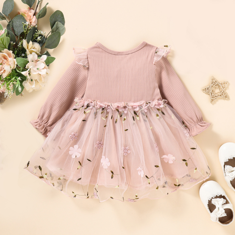 Baby Girl Embroidered Mesh Dress