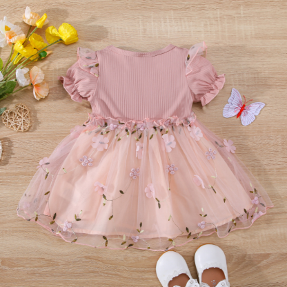 Baby Girls Summer Embroidered Mesh Dress