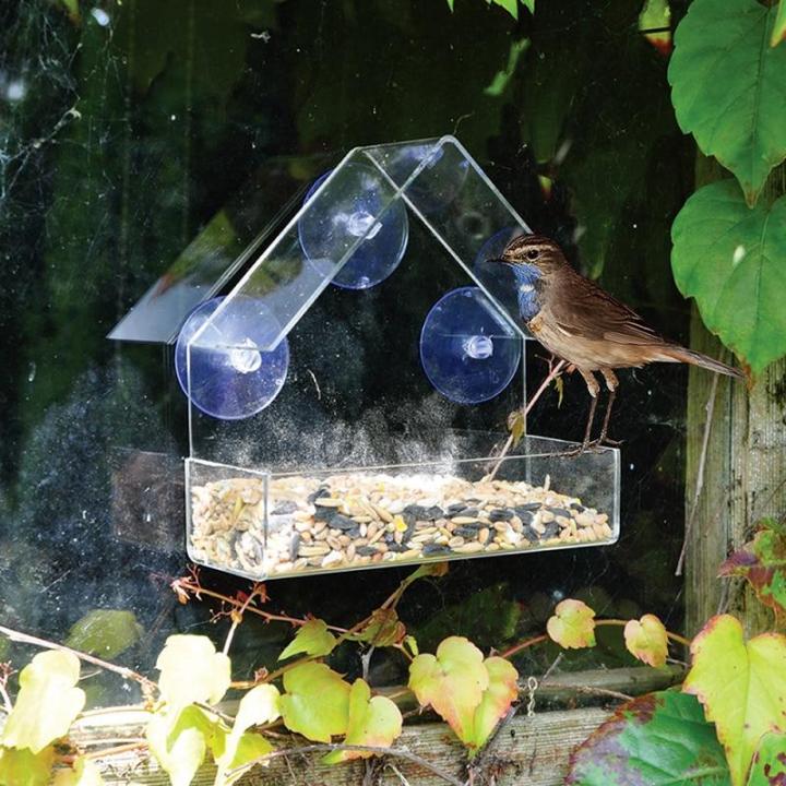 Window Bird Feeder