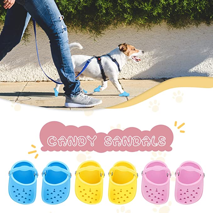 2022 Dog Crocs for Small Dogs