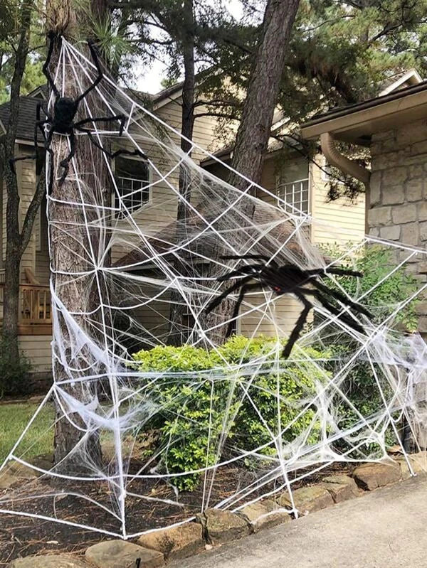 Halloween decoration cobweb and spider