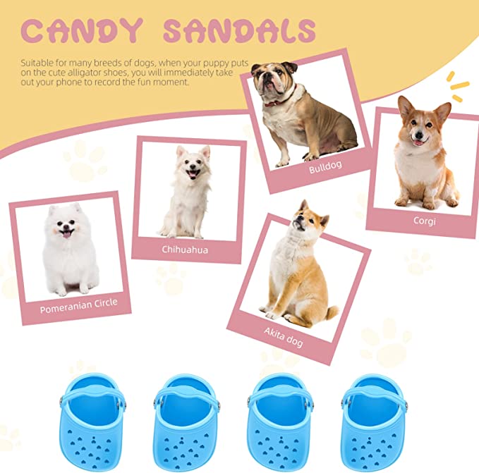 2022 Dog Crocs for Small Dogs