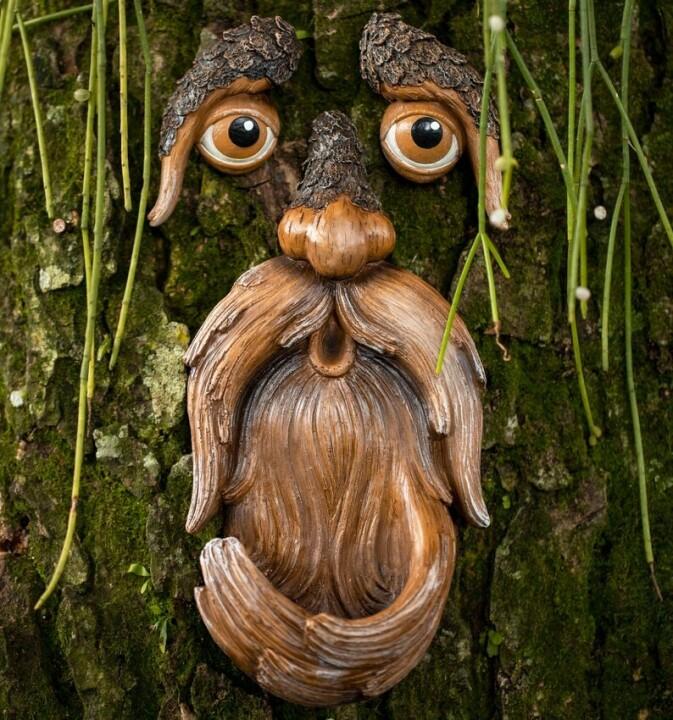 Unique Outdoor Tree Faces Bird Feeders