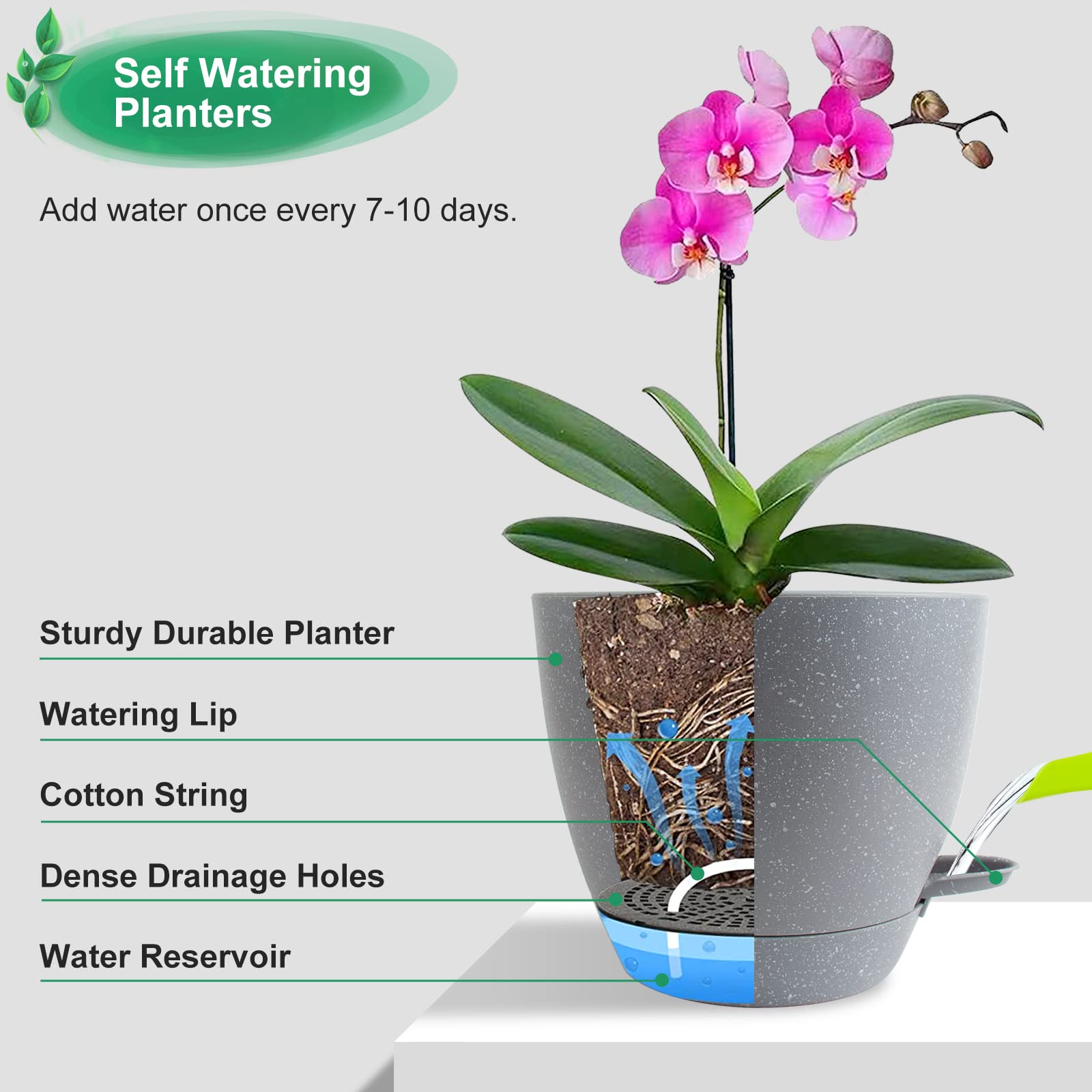 Self Watering Plant Pots