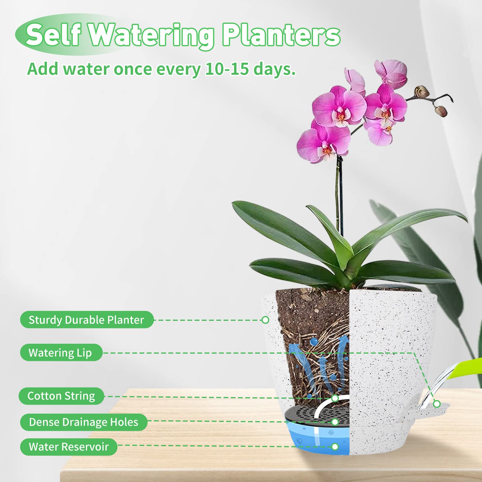 Self Watering Plant Pots