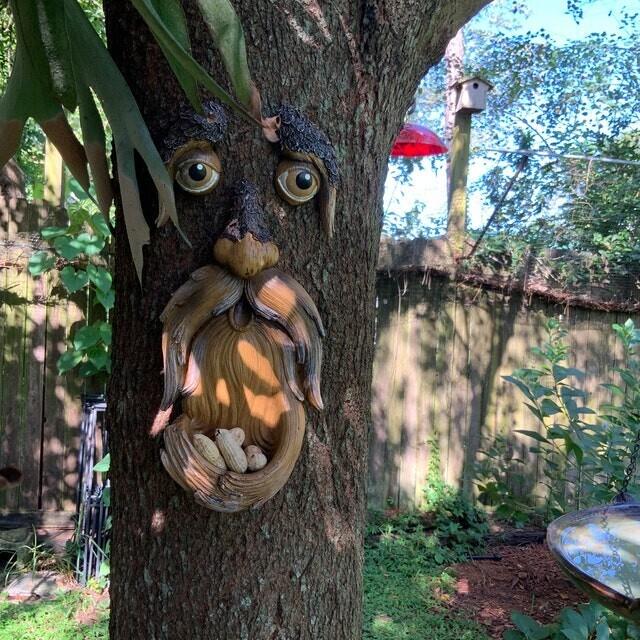 Unique Outdoor Tree Faces Bird Feeders