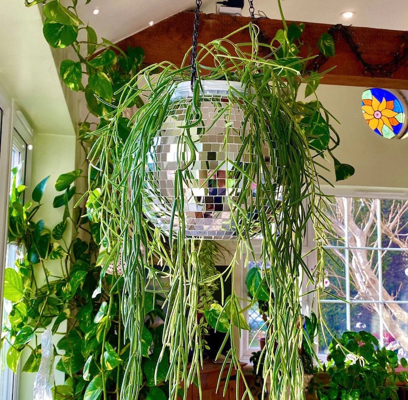 Disco Party Hanging Planter