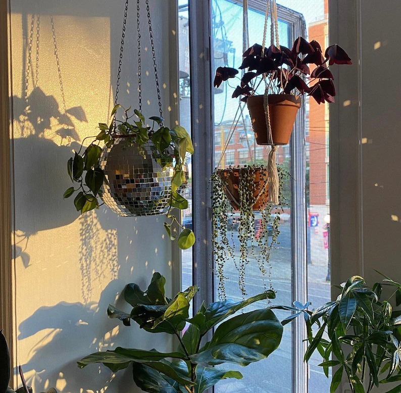 Disco Party Hanging Planter