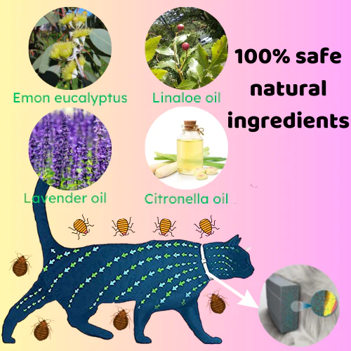 Pet Flea and Tick Collar for Cats