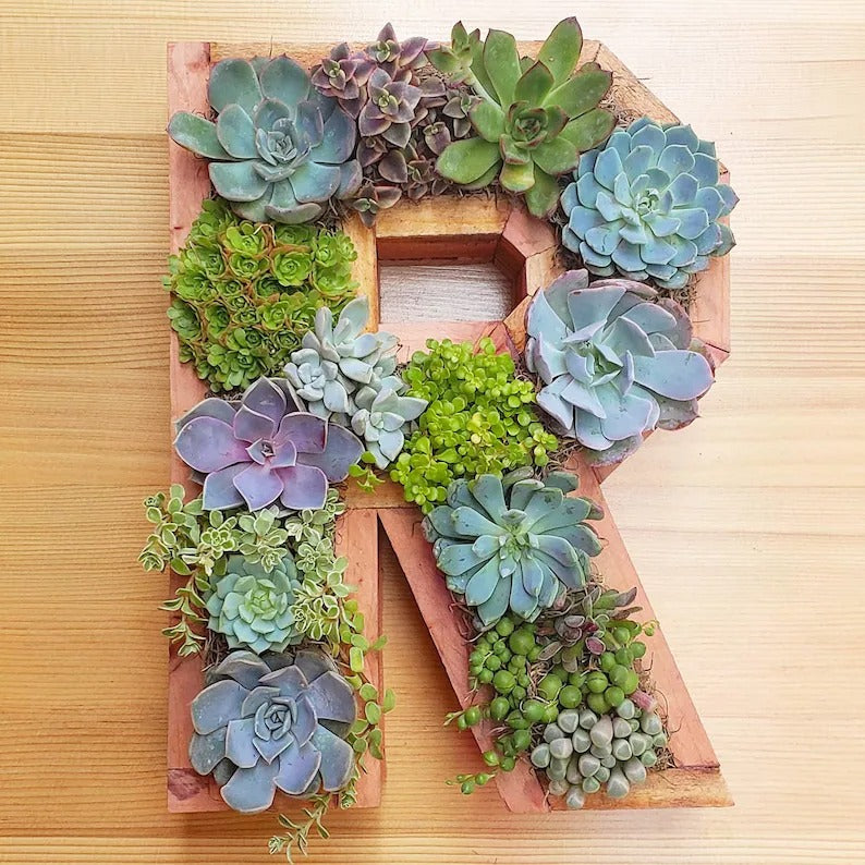 Wooden Letter Shaped Wall Hanging Planter-A To Z