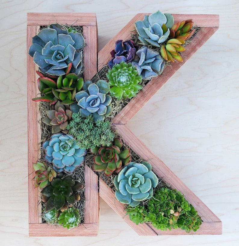 Wooden Letter Shaped Wall Hanging Planter-A To Z