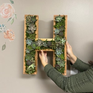 Wooden Letter Shaped Wall Hanging Planter-A To Z