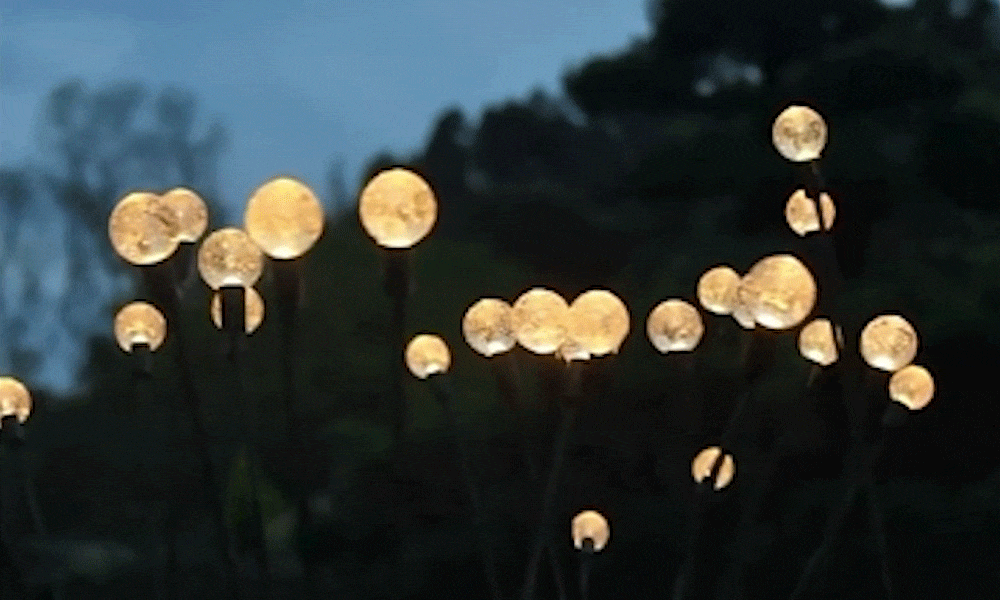 Starburst Swaying Firefly Lights