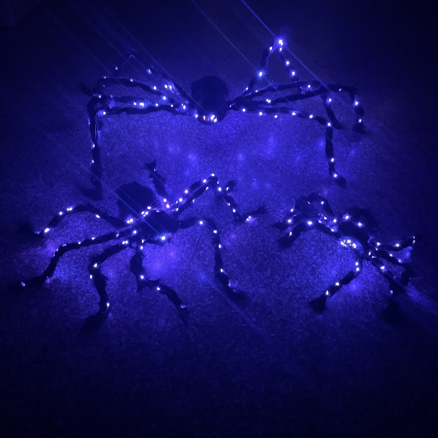 Halloween Luminous Spider