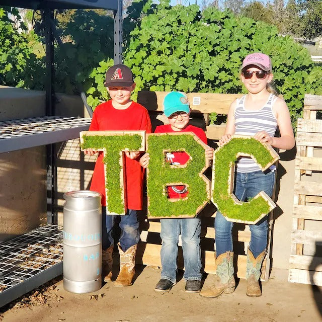 Wooden Letter Shaped Wall Hanging Planter-A To Z