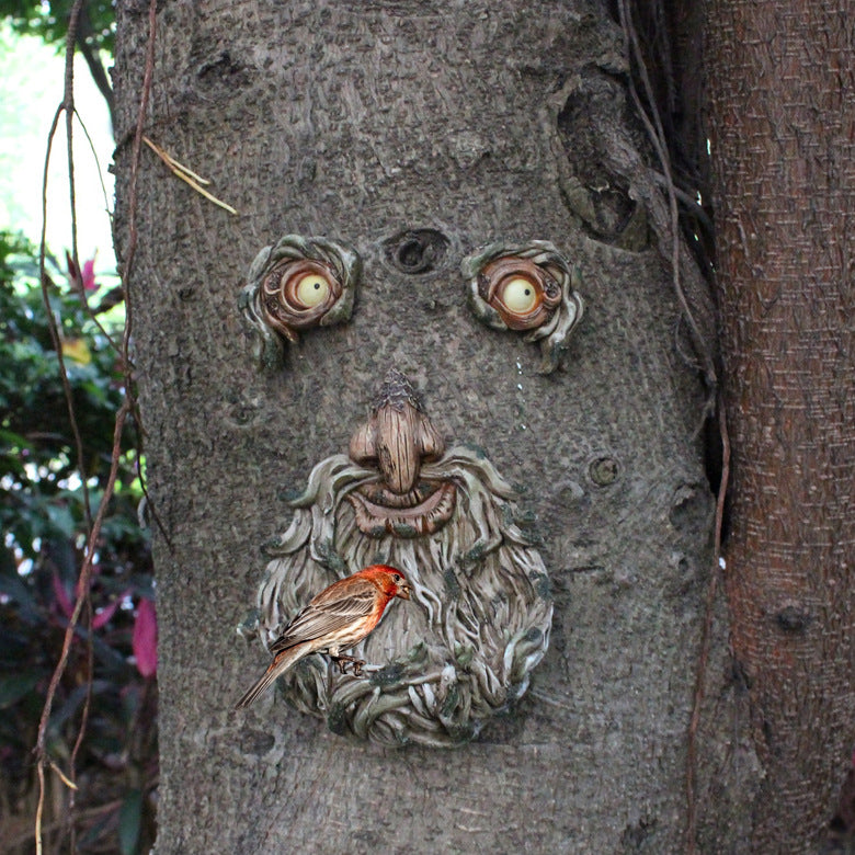 Beard Old Man Faces Bird Feeder
