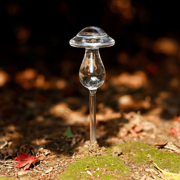  2pcs Self-Watering Plant Glass Bulbs