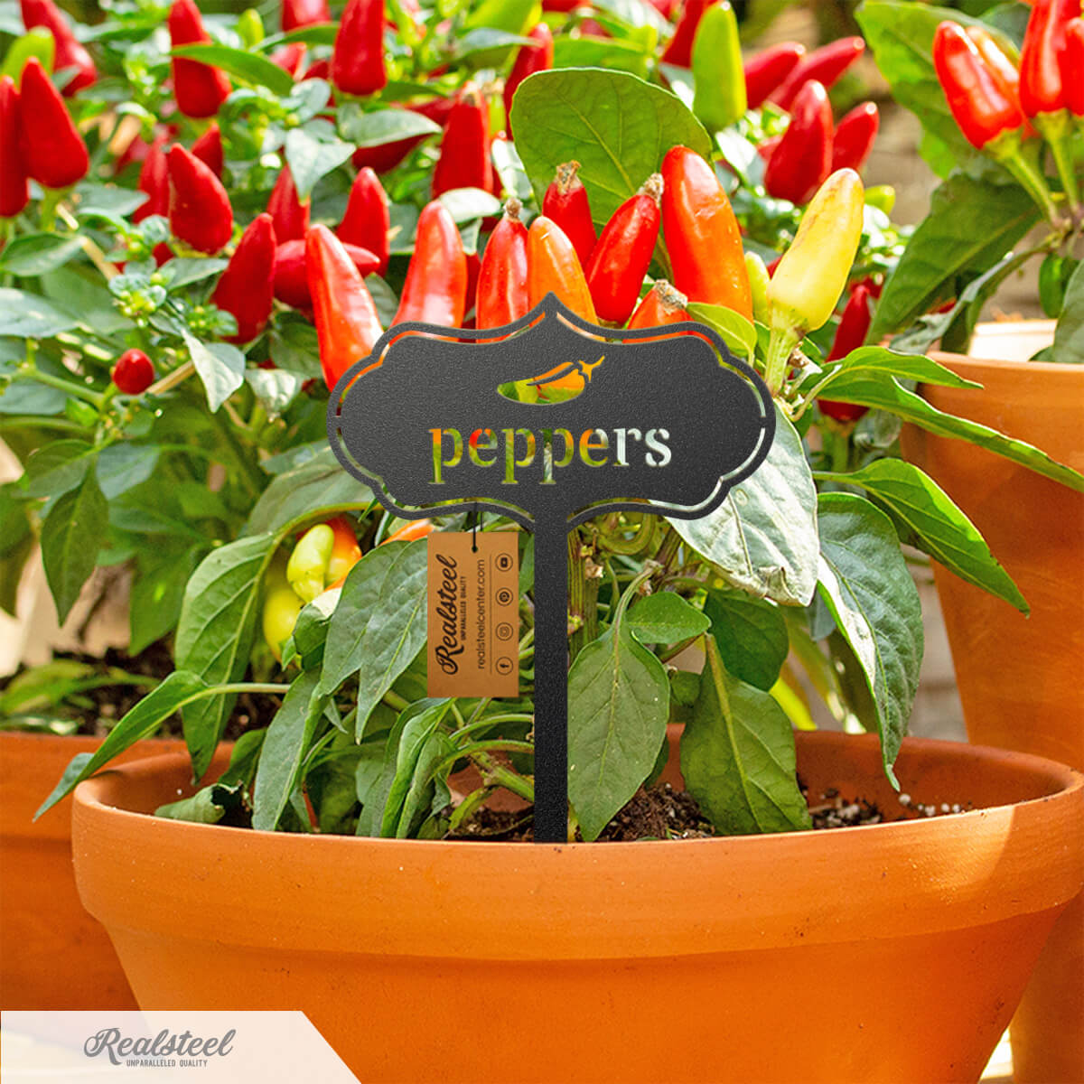 Seed & Plant Markers