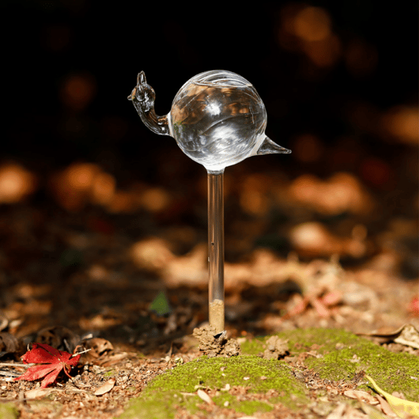  2pcs Self-Watering Plant Glass Bulbs