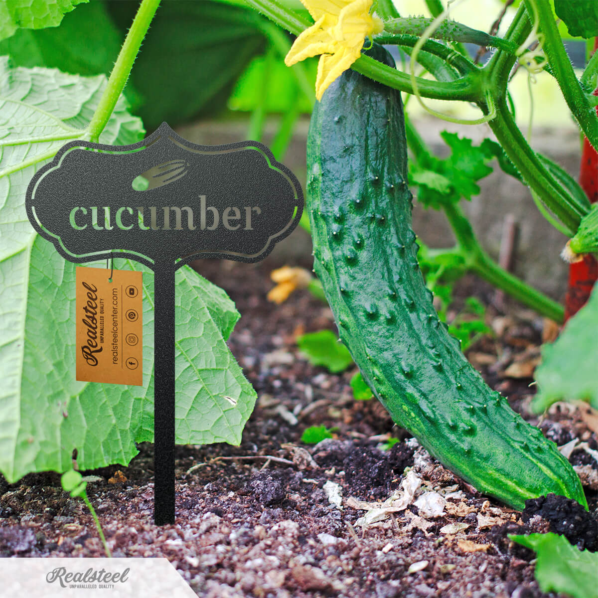 Seed & Plant Markers