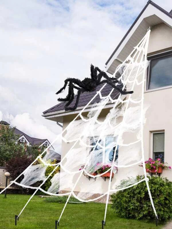 Halloween decoration cobweb and spider