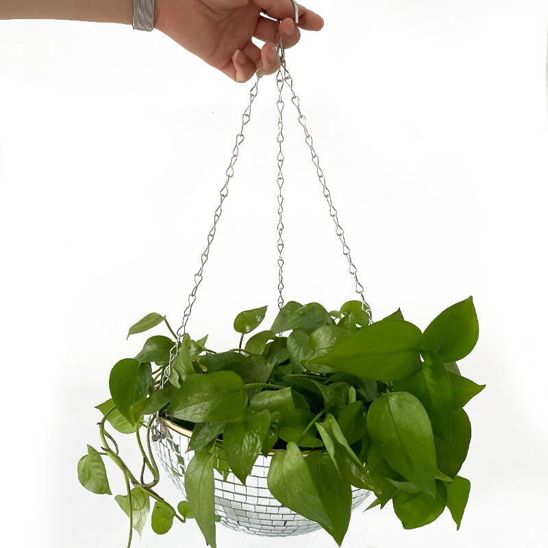 Disco Party Hanging Planter