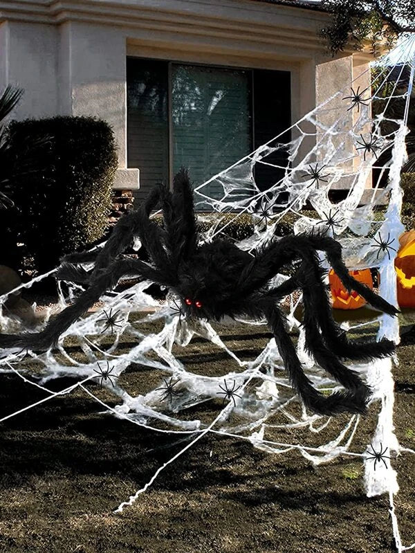 Halloween decoration cobweb and spider