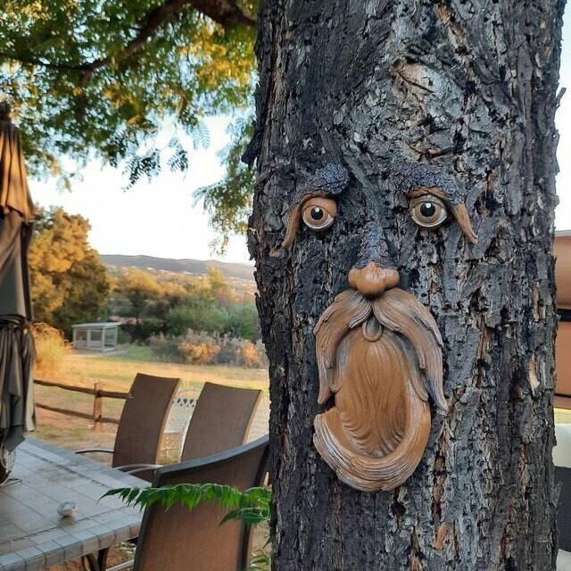 Unique Outdoor Tree Faces Bird Feeders