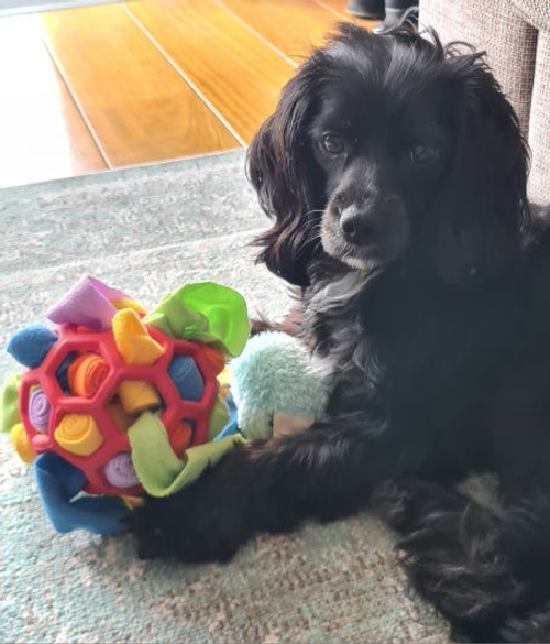 Sniffle Interactive Treat Game