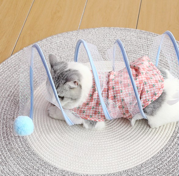 Cat Coil Spring Toy For Indoor Cats