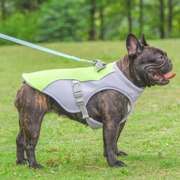 Dog Core Cooling Vest