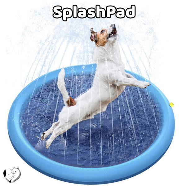 Pet Splash Sprinkler Pad
