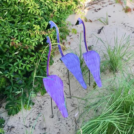 Swirl Bird-a whimsical and dynamic bird that spins with the slight garden breeze