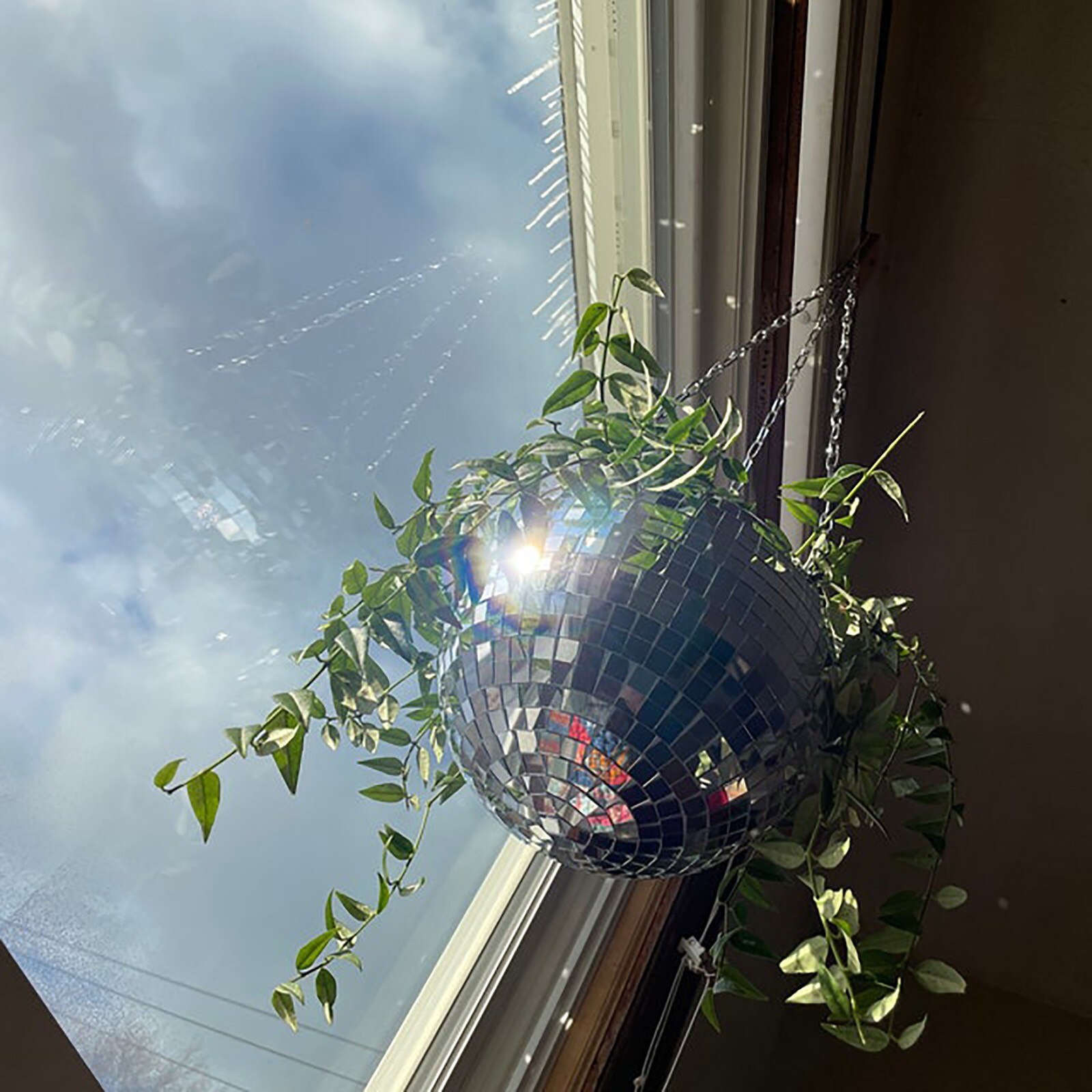 Disco Party Hanging Planter