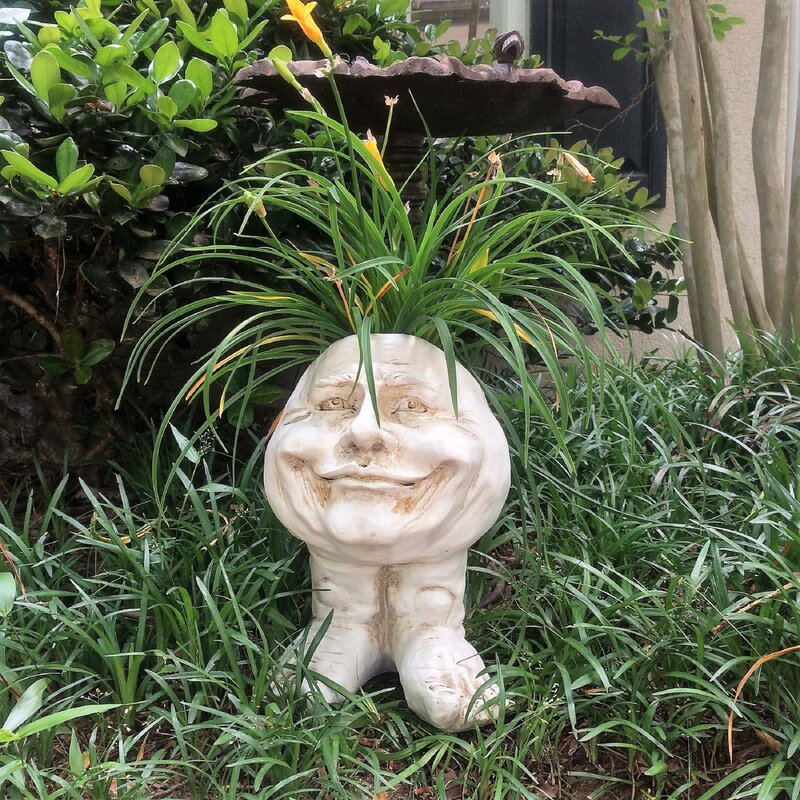 Funny Plant Pot