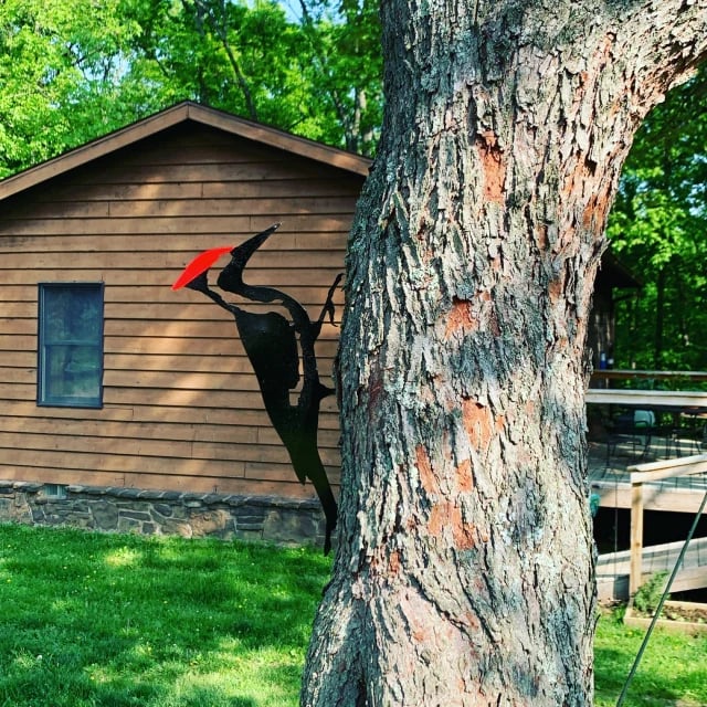 Woodpecker Metal Bird Steel Garden Yard Art