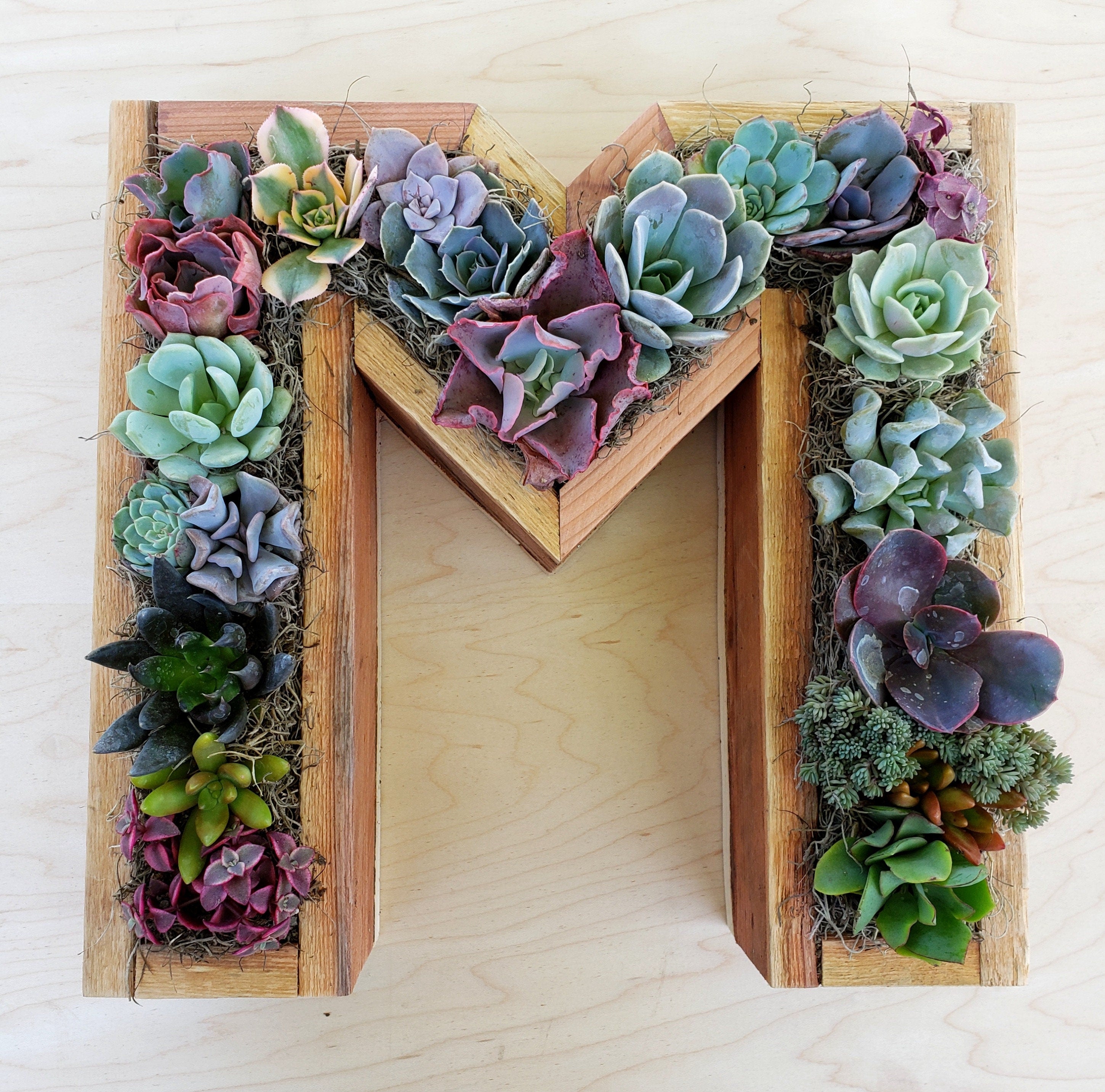 Wooden Letter Shaped Wall Hanging Planter-A To Z