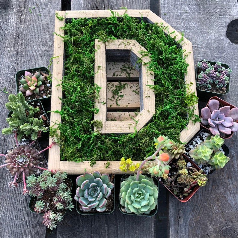 Wooden Letter Shaped Wall Hanging Planter-A To Z