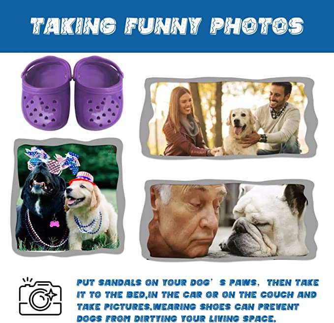 2022 Dog Crocs for Small Dogs