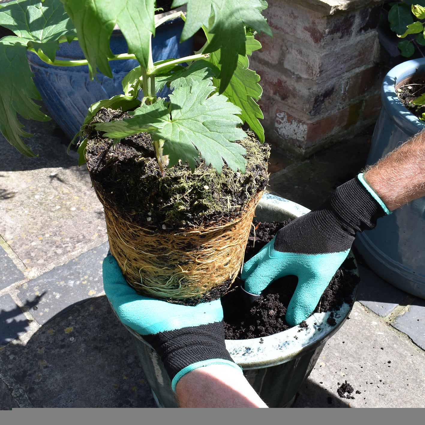 Claw Gardening Gloves